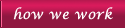 How We Work