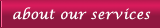 About Our Services